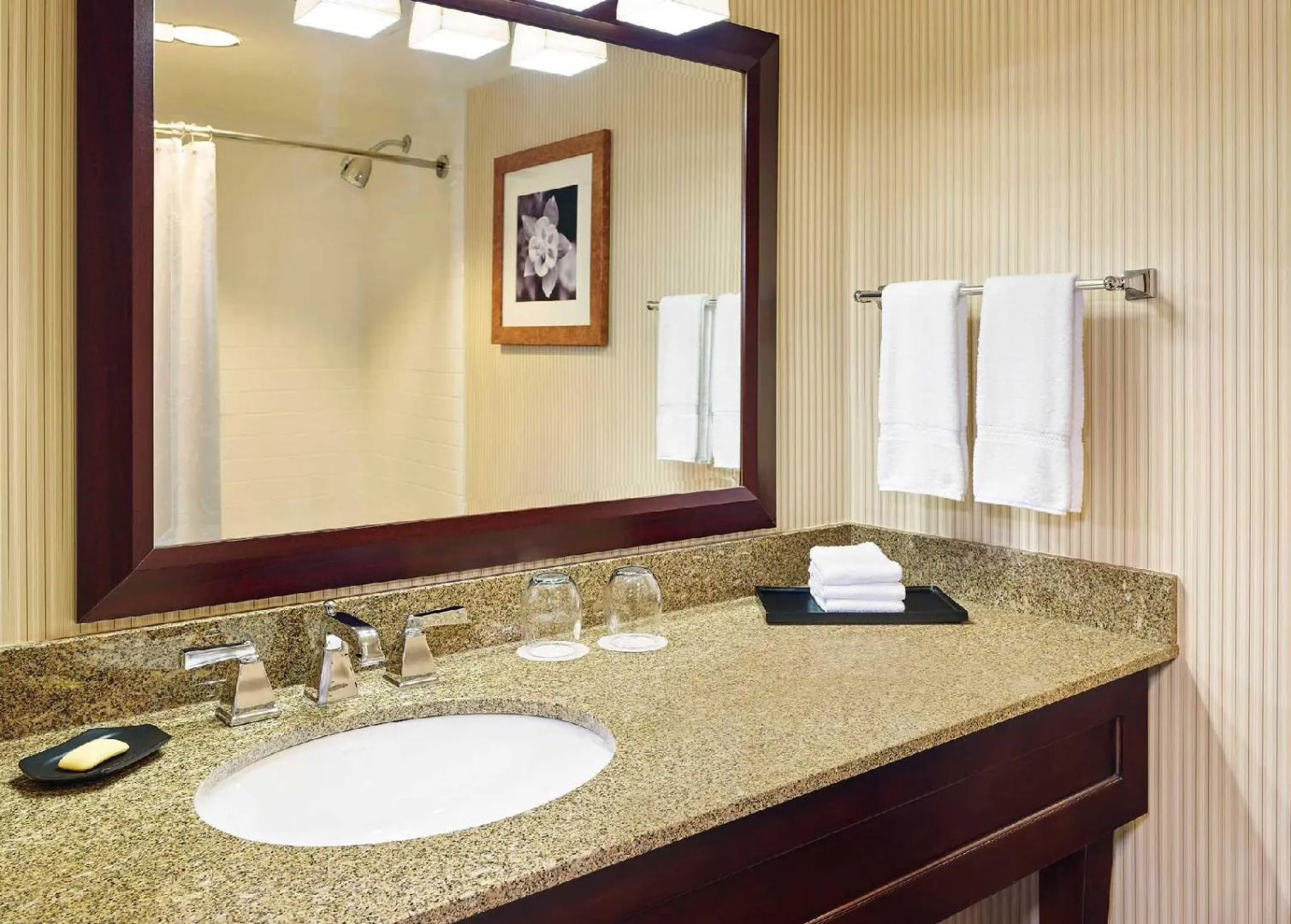 Sheraton Roanoke Hotel & Conference Center