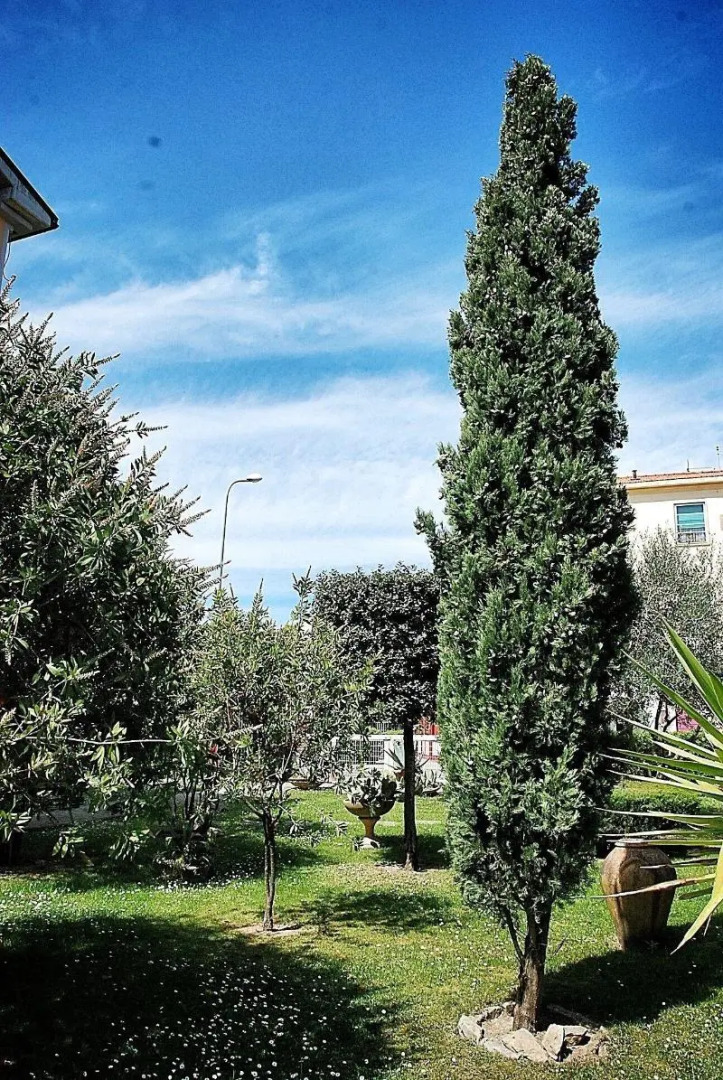 Residence Il Caminetto