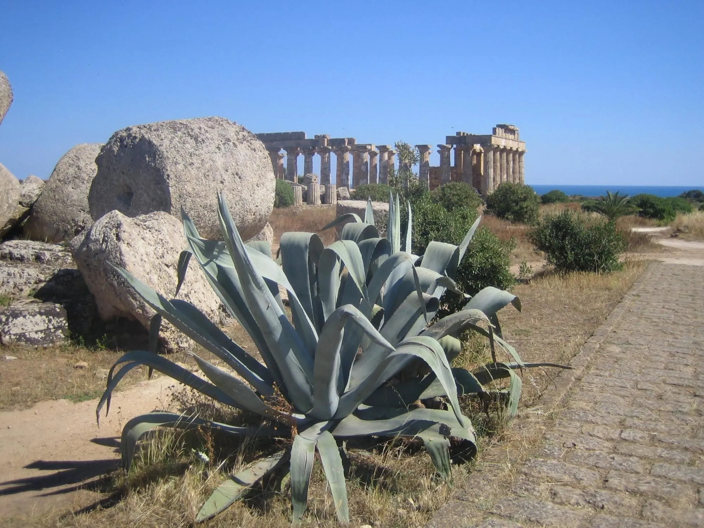 La Rosa Hotel - Selinunte
