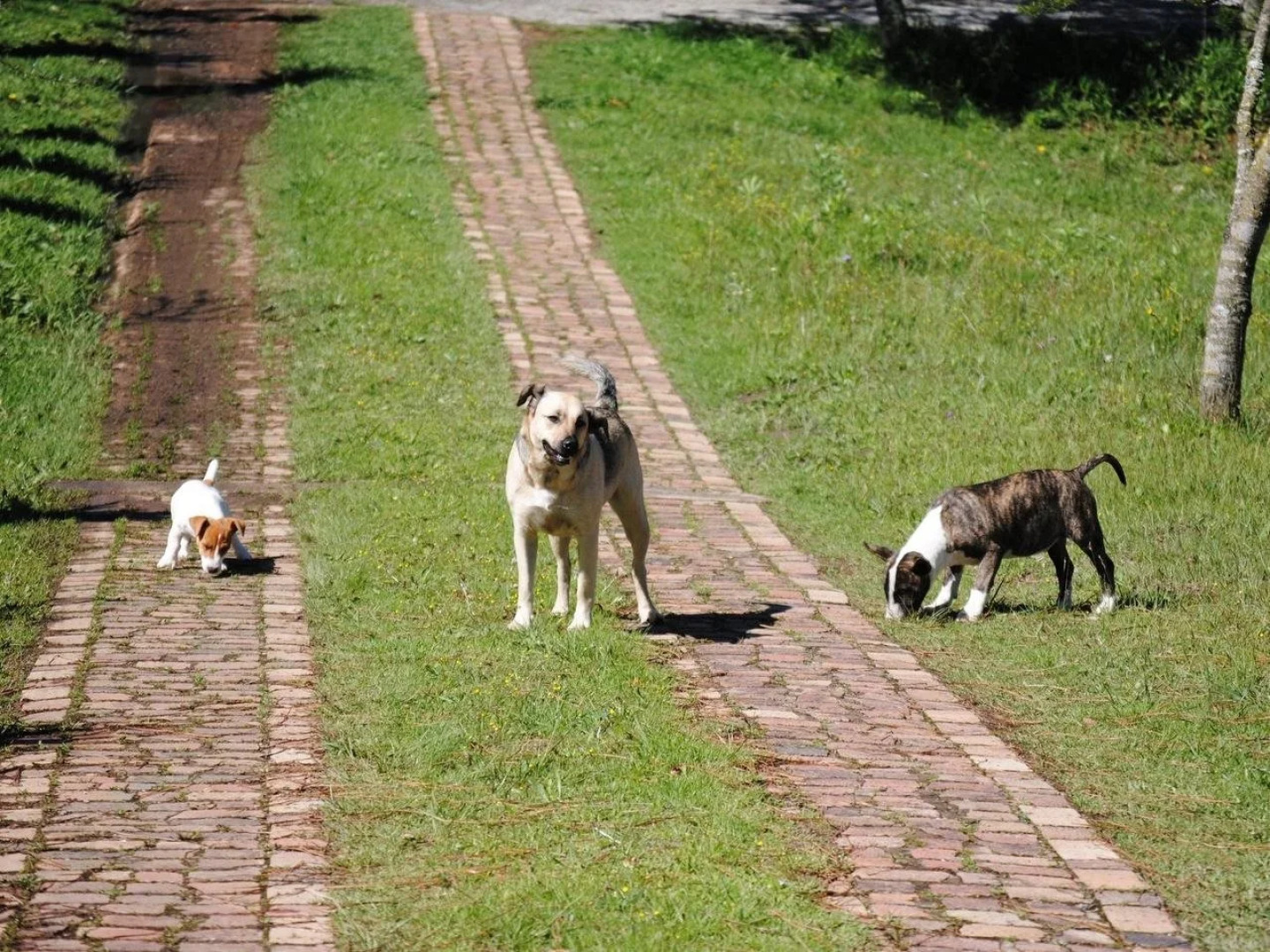 A Stone's Throw Accommodation