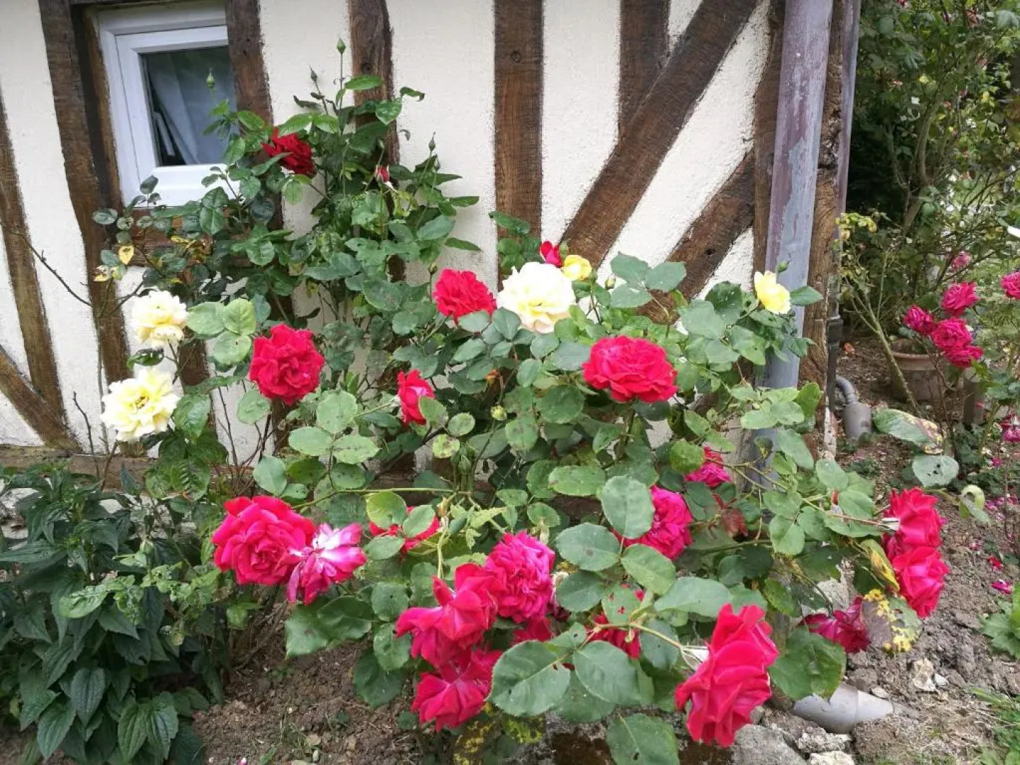 La Longère d'Auberville