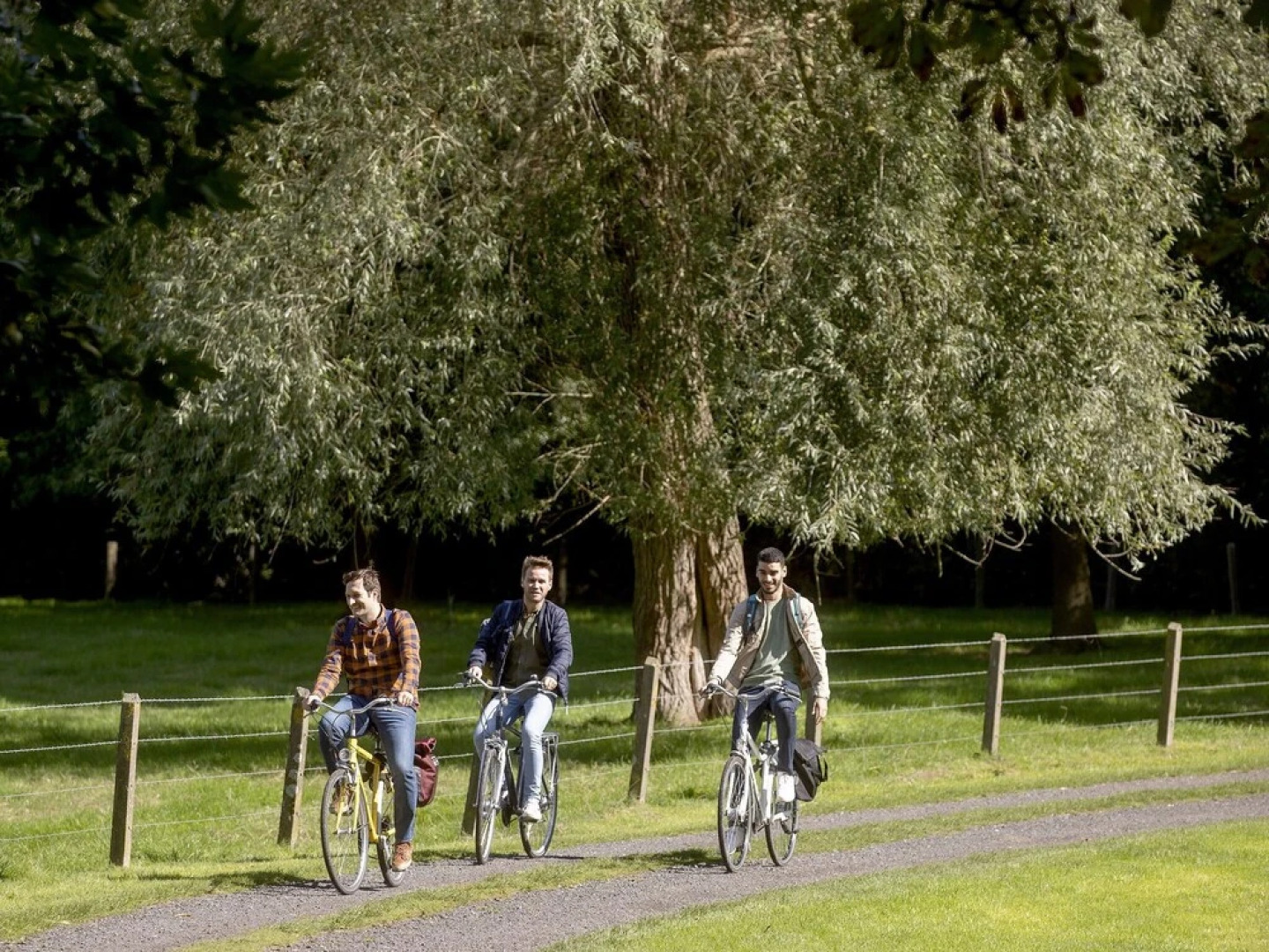 Modern Apartment With a Dishwasher Near Jabbeke