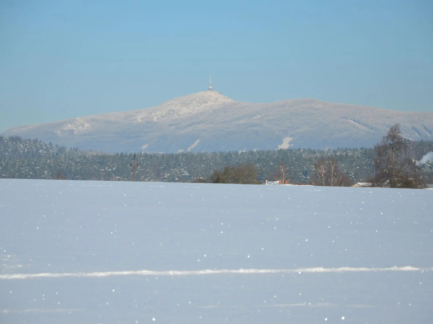 Luxury Villa near Forest in Hlavice Czech Republic