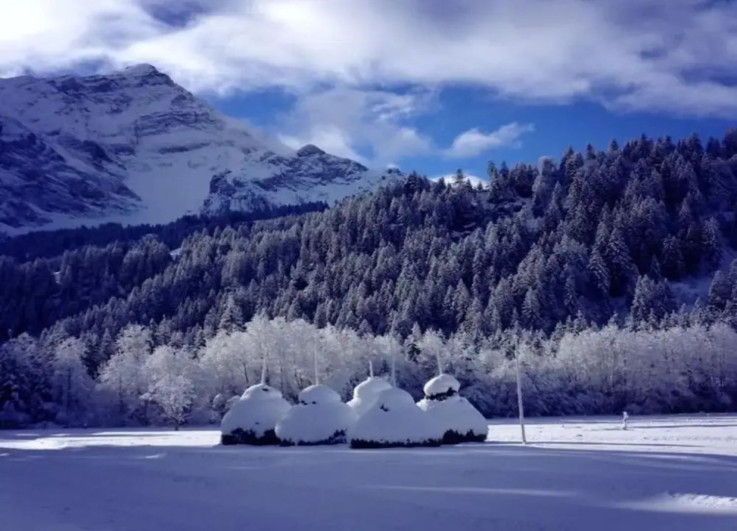 Contemporary Swiss Escape