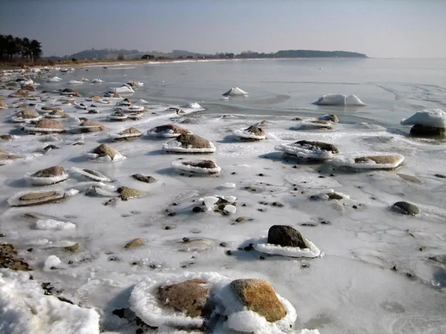 Komfortables Reetdachferienhaus Hasel 1
