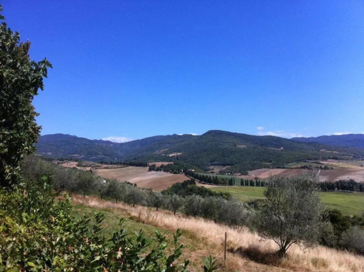 Agriturismo Il Palazzaccio