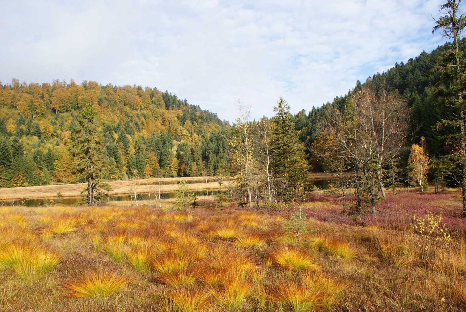Hôtel Les Chatelminés