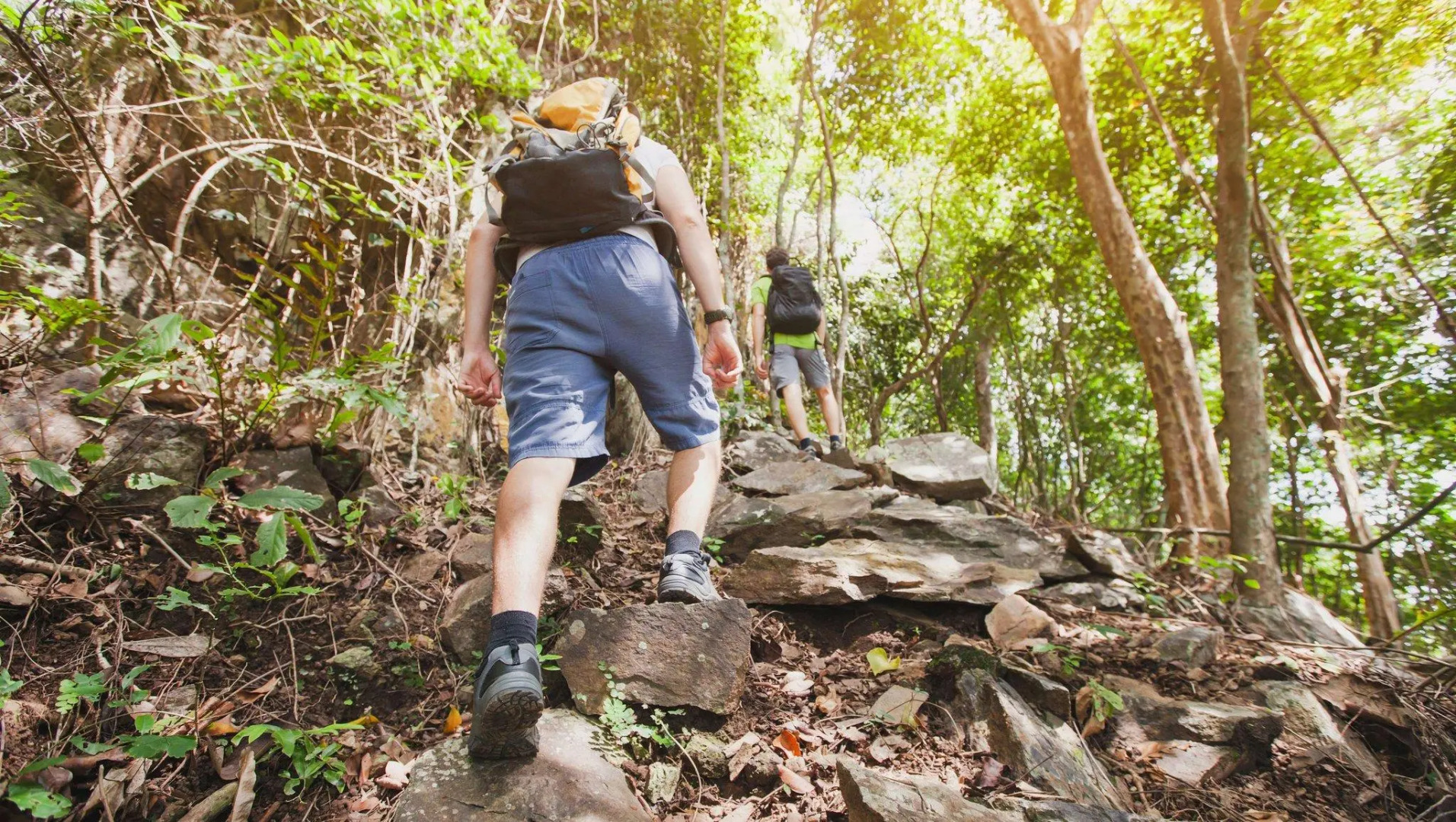 Juniper Motel Madras by Townhouse