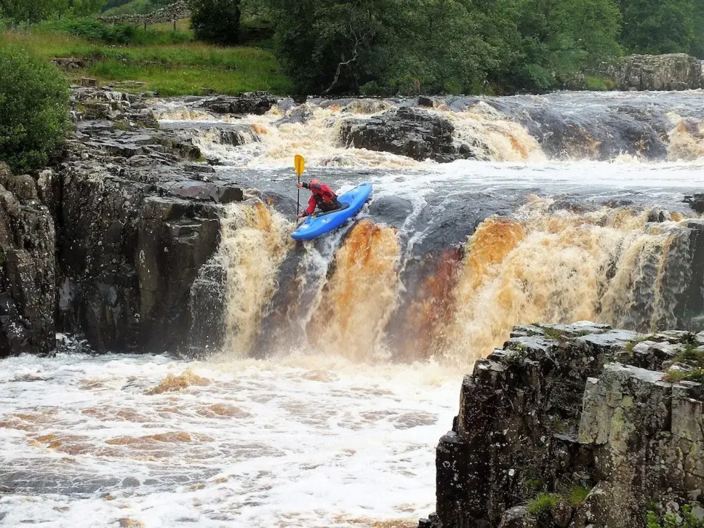 Forresters Bar & Restaurant with Rooms