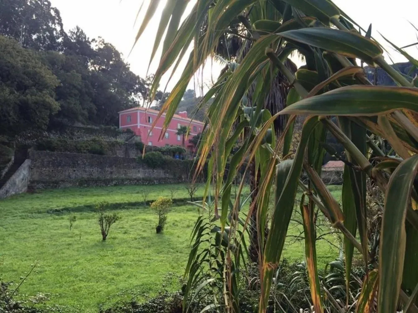 Quinta de São Tadeu