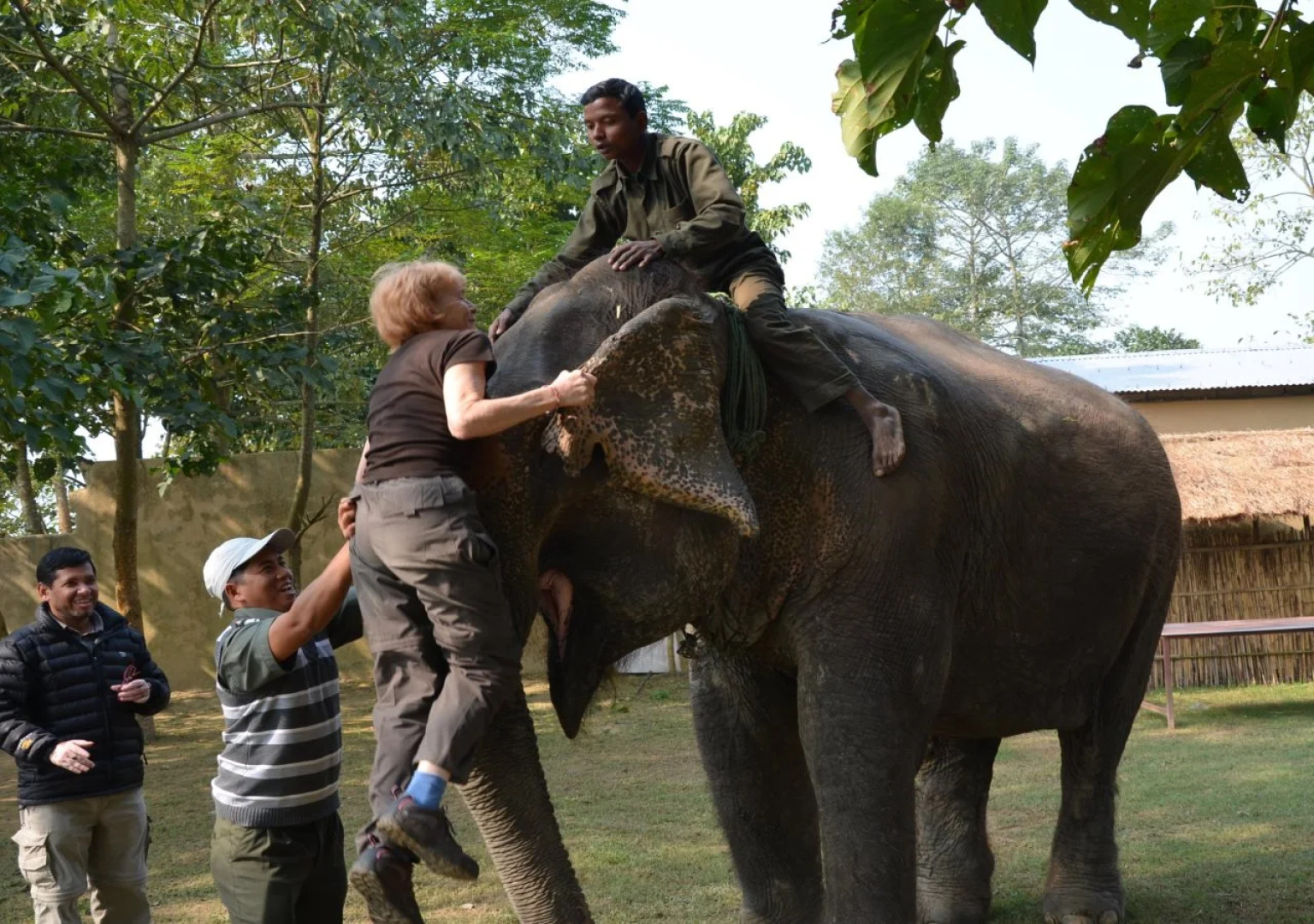 TigerLand Safari Resort