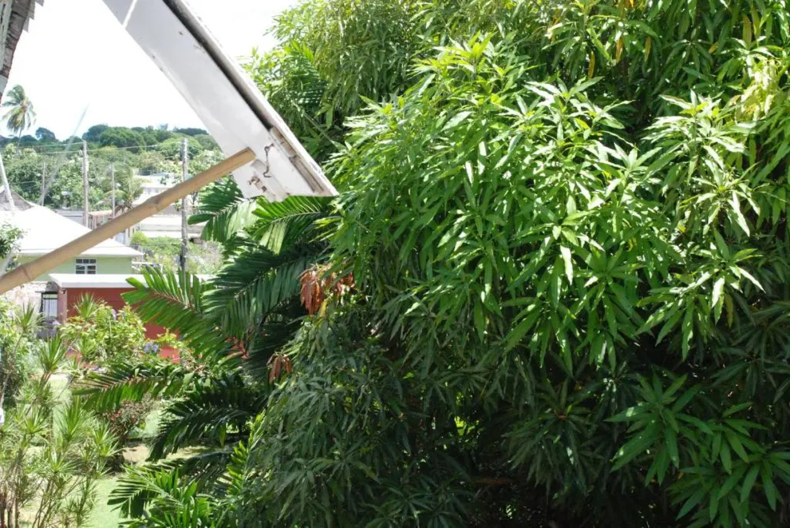 Charming Old World Apartment