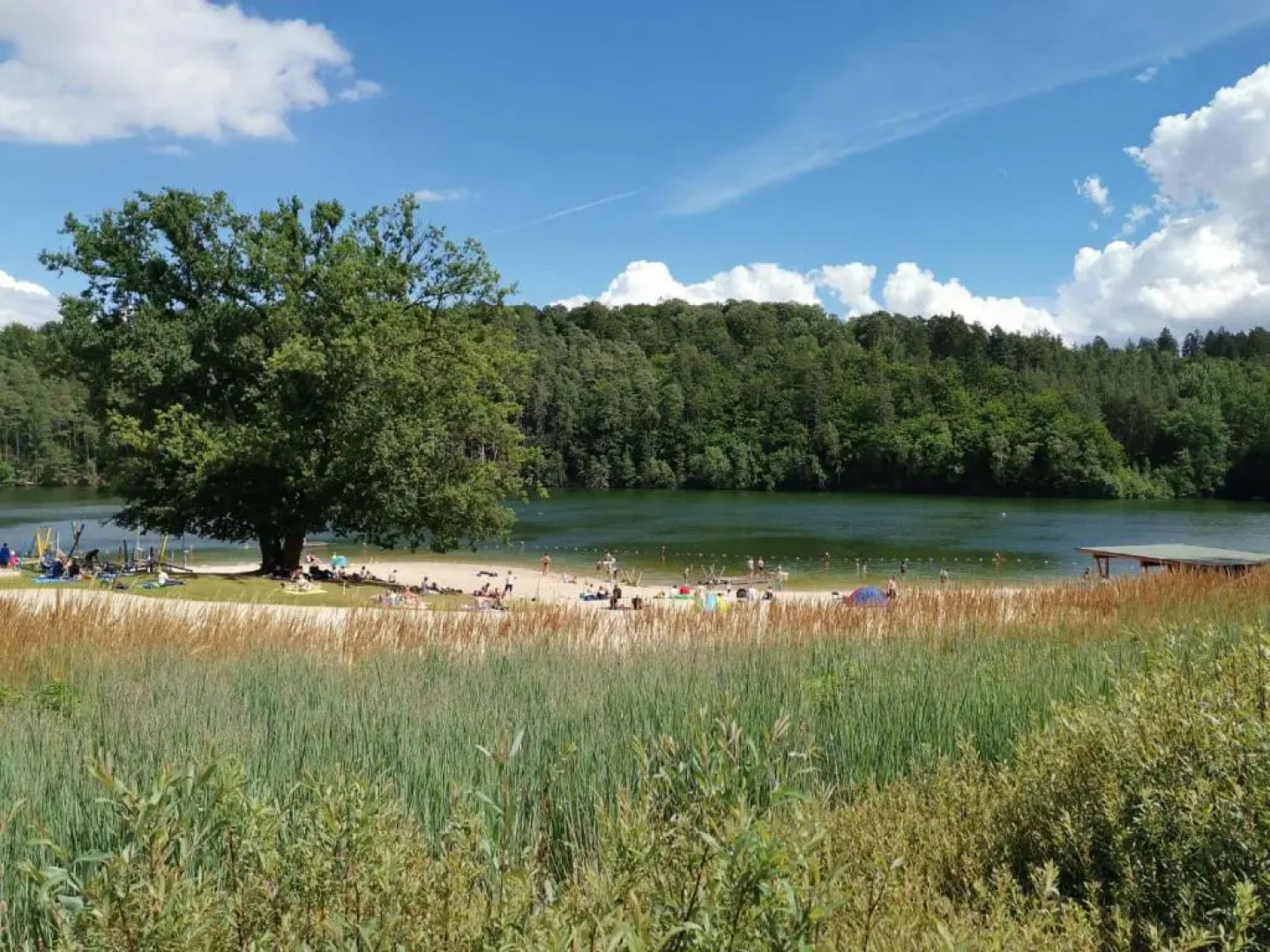 Blockhaus am Twistesee mit 3 Schlafzimmern