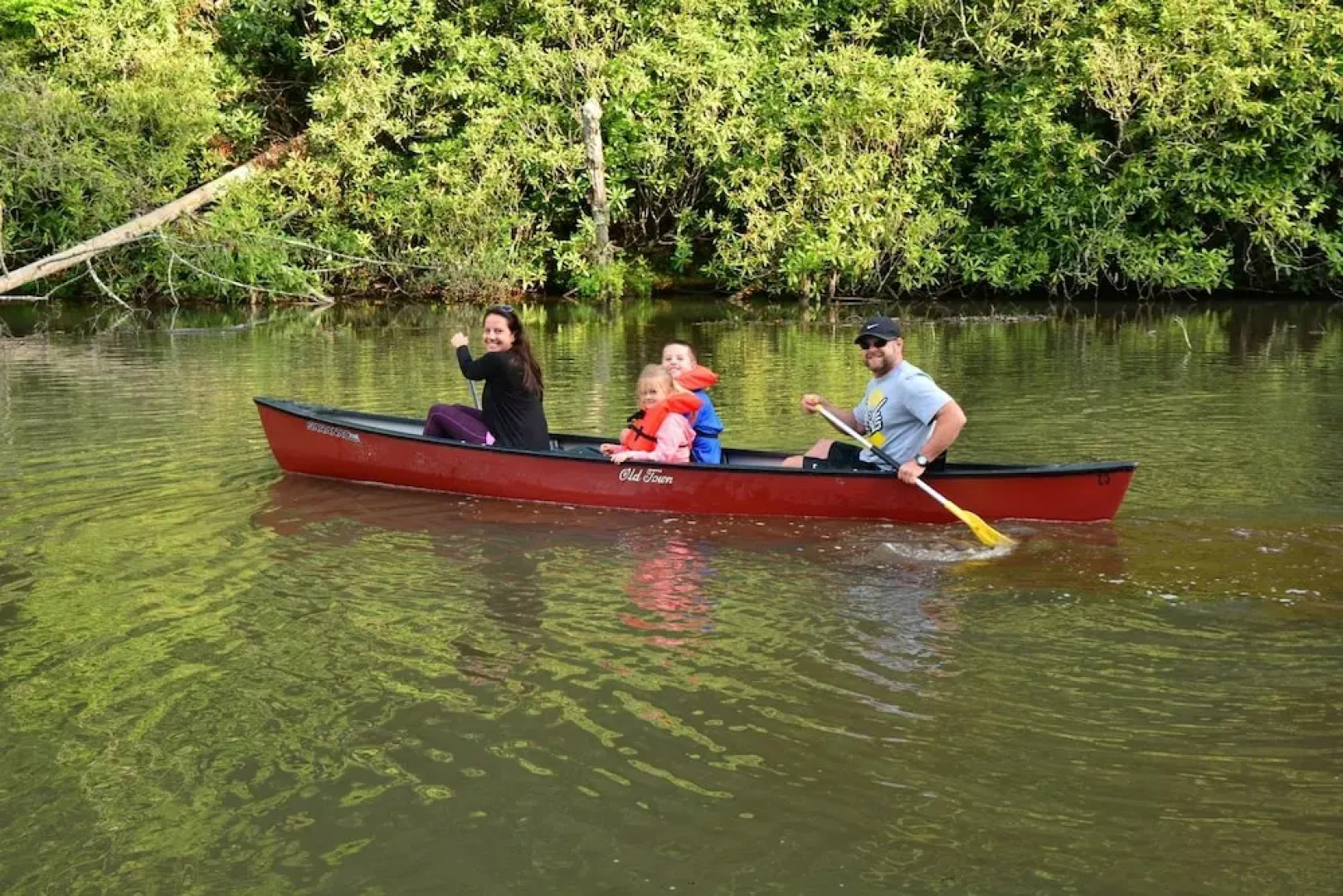 Unforgettable Dreams