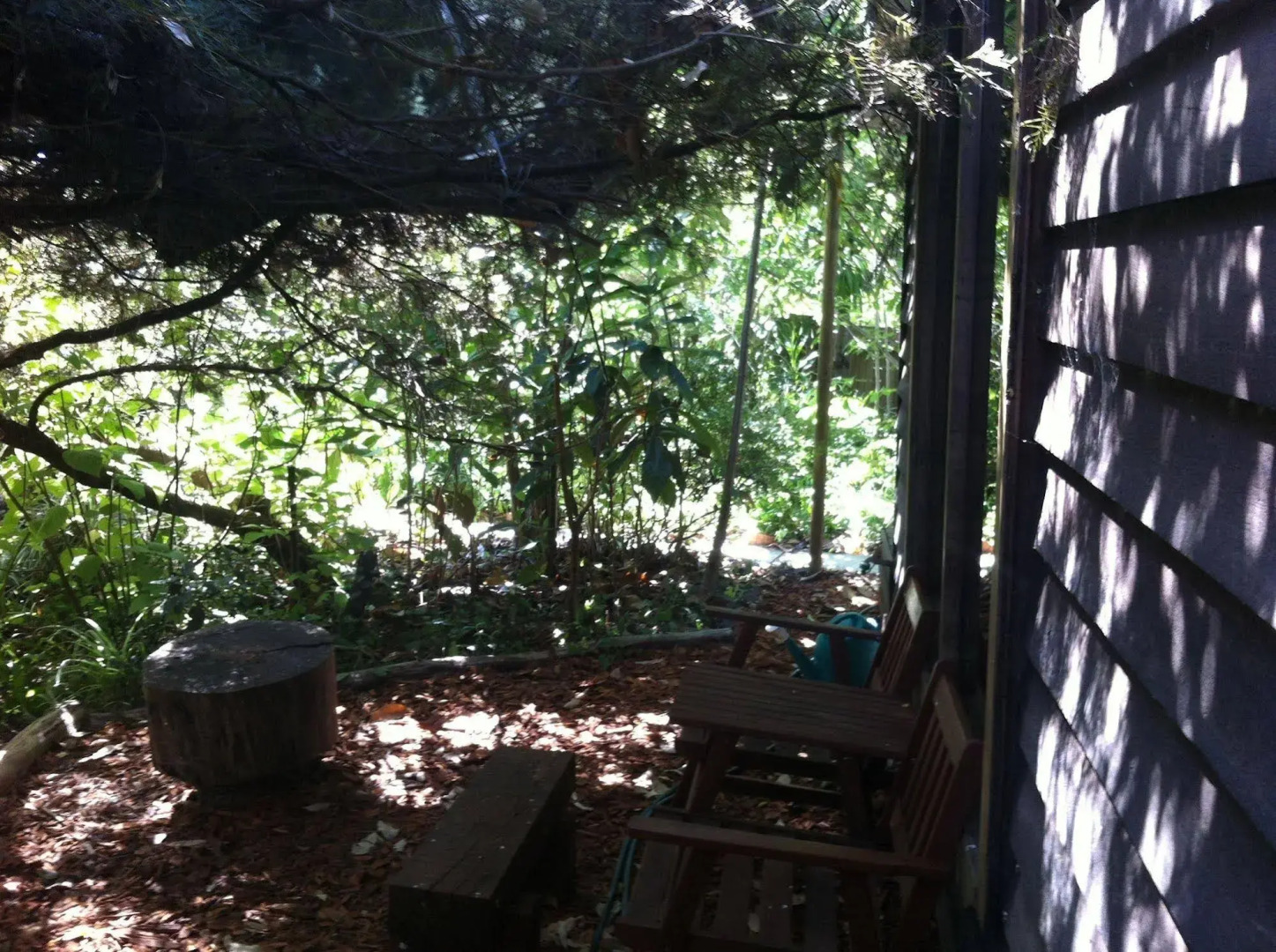 The Black Cockatoo Nannup