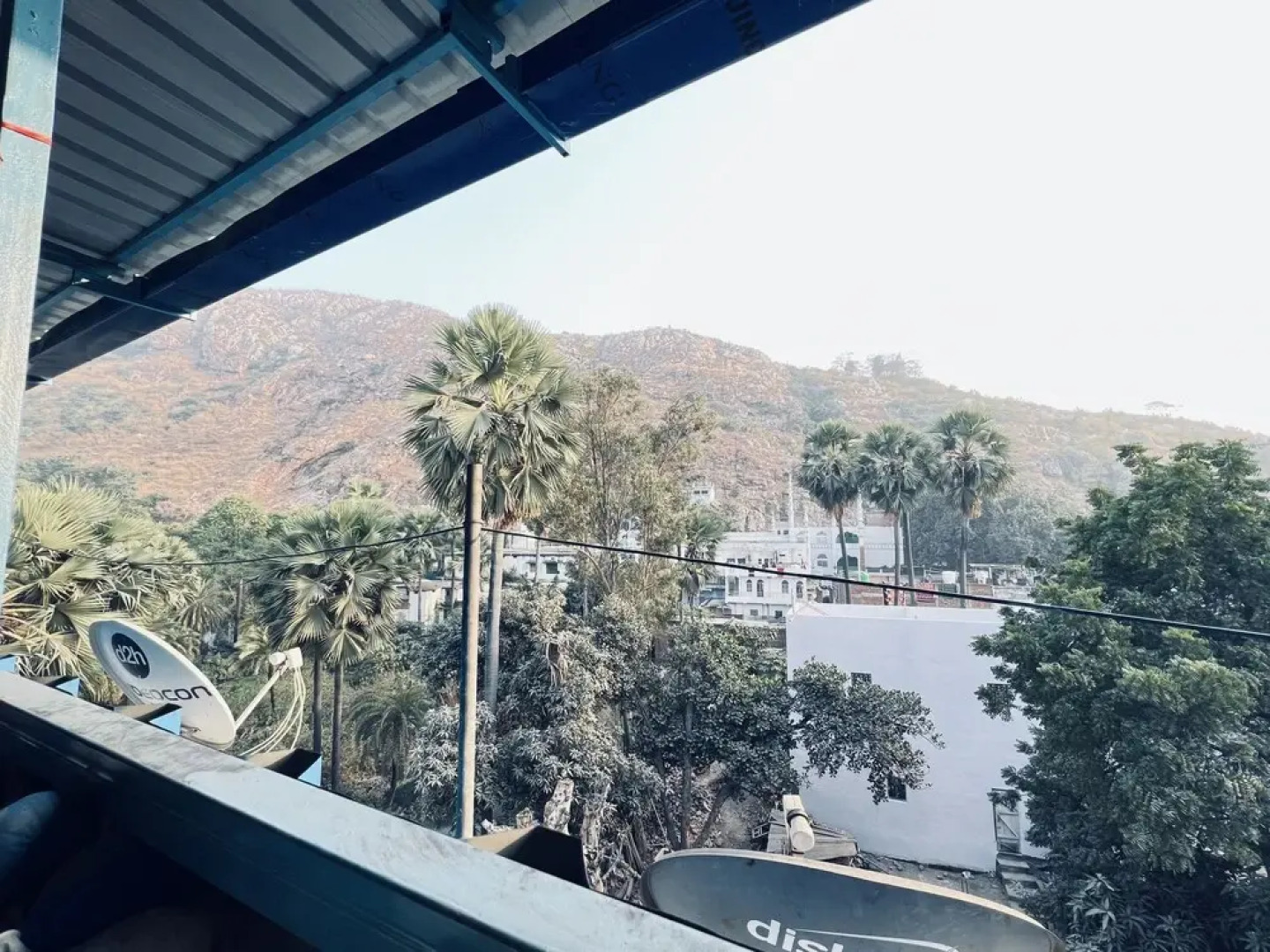 hotel rajgir international