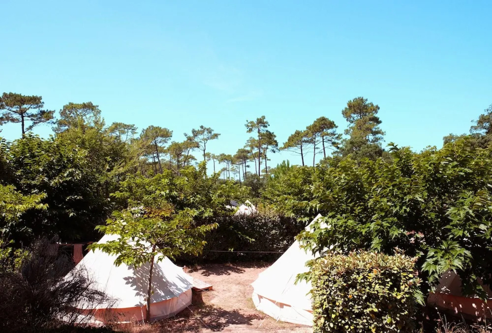 Star Surf Camps Moliets