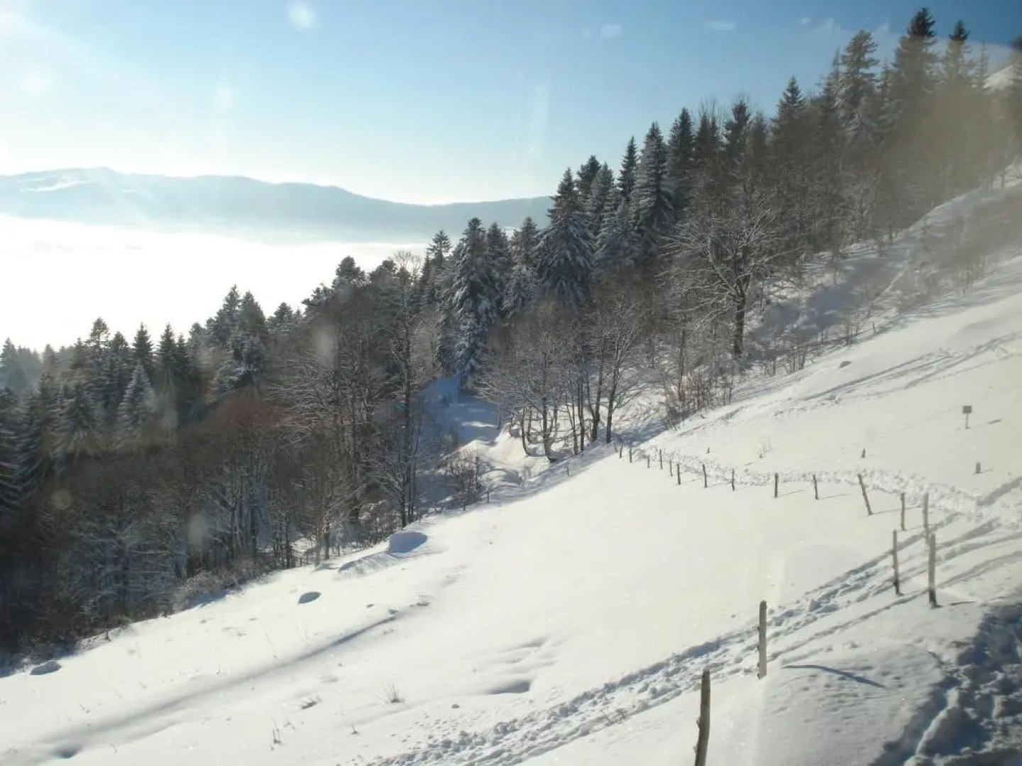 Les Myrtilles, classé 5 étoiles