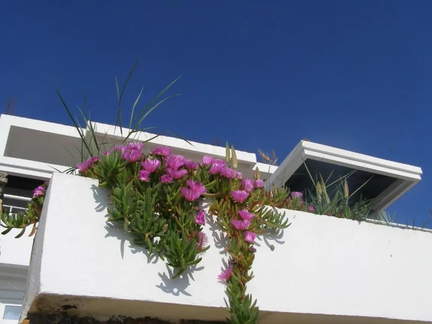 Palastura Apartments