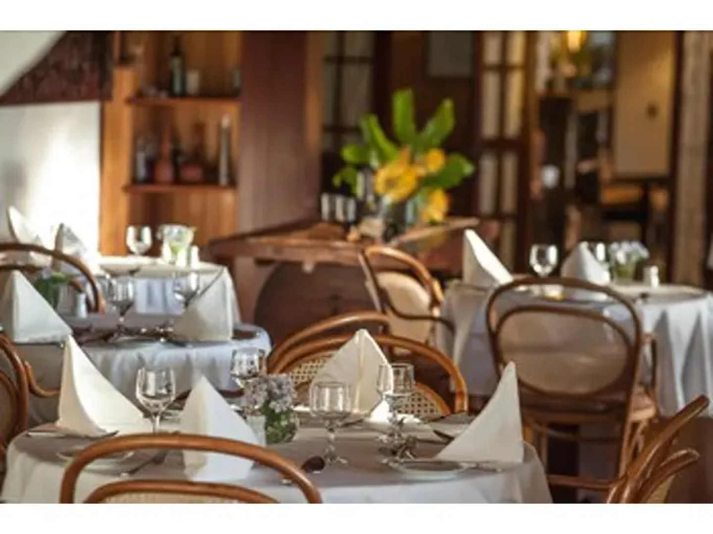Hotel Rosa Dos Ventos