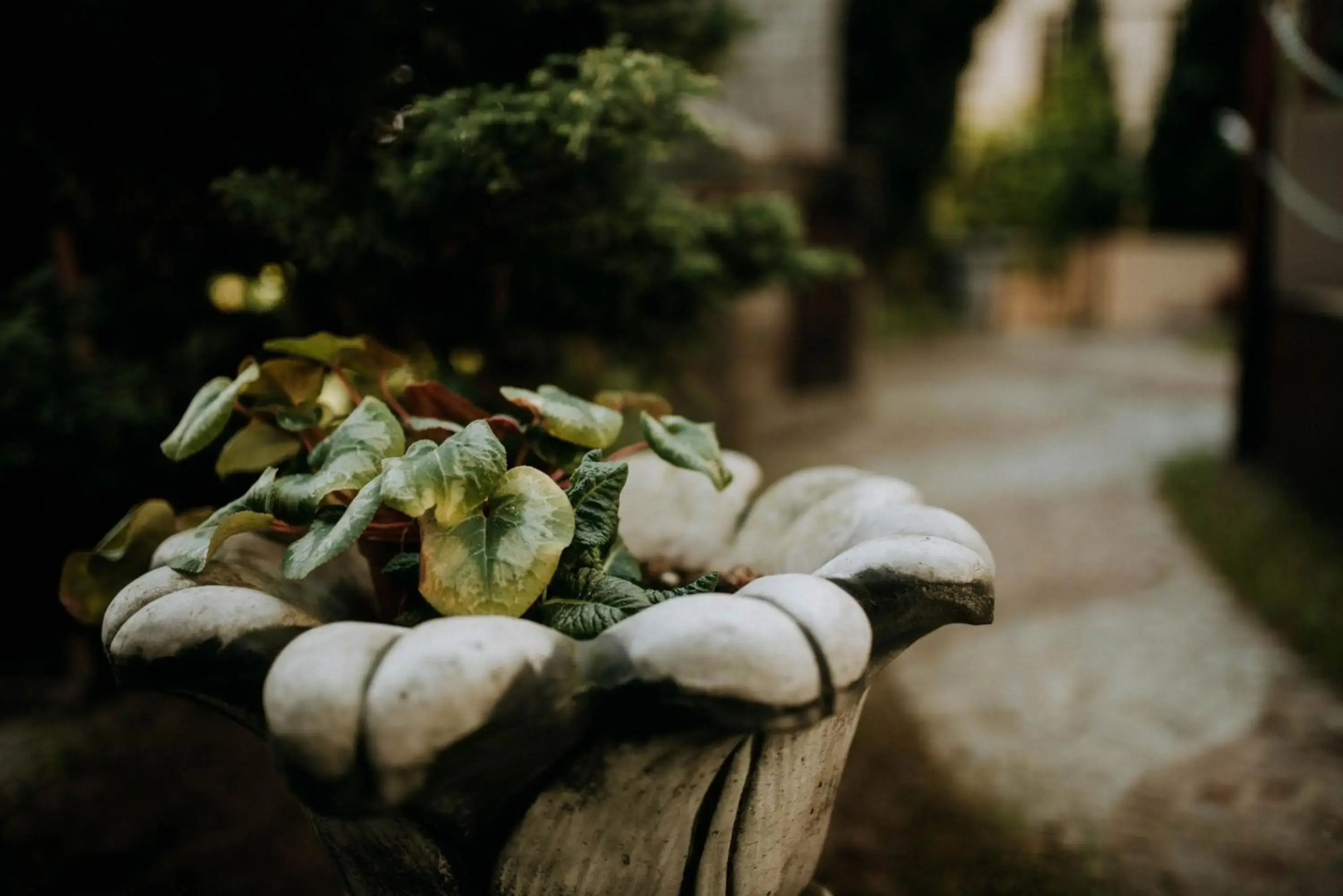 Wakacyjna przygoda w Gdyni