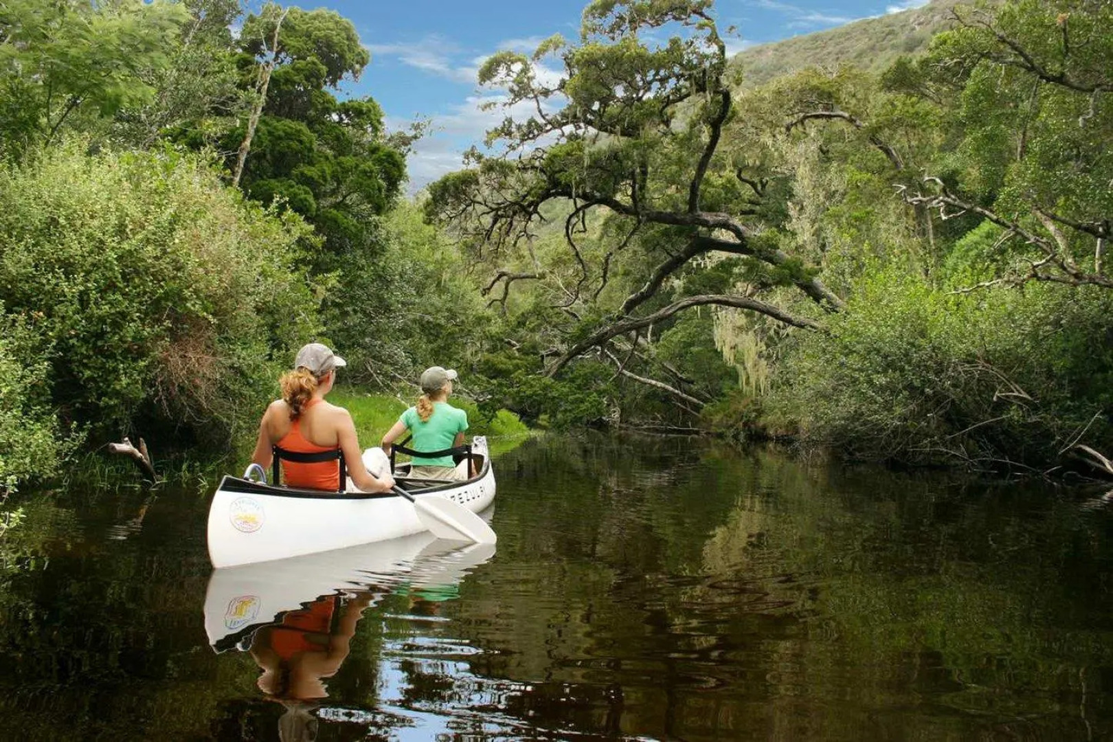 Pezula Nature Retreat