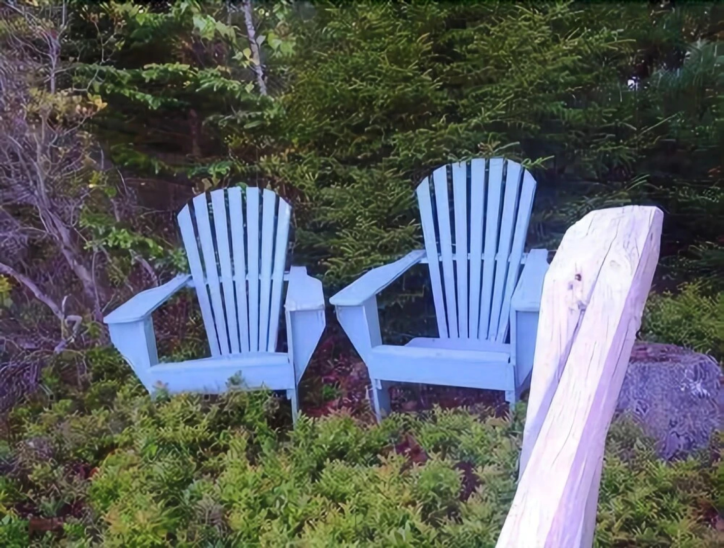 Christines Cottage - One Bedroom Cottage