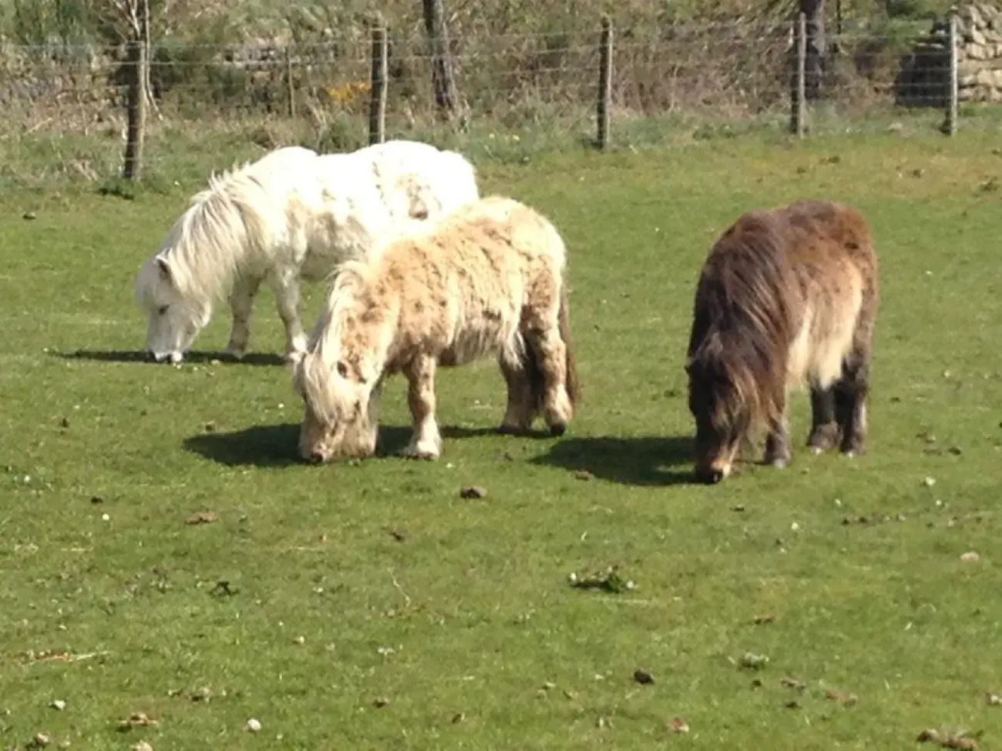 Smugglers Rock Cottages