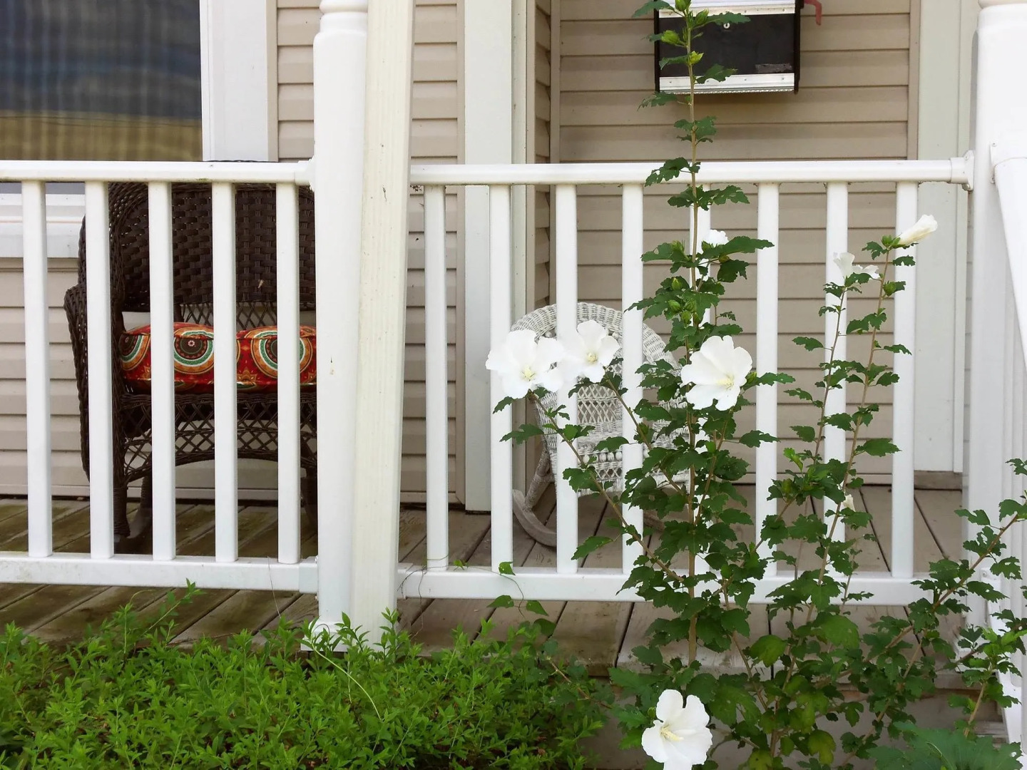 1895 Washington Hotel