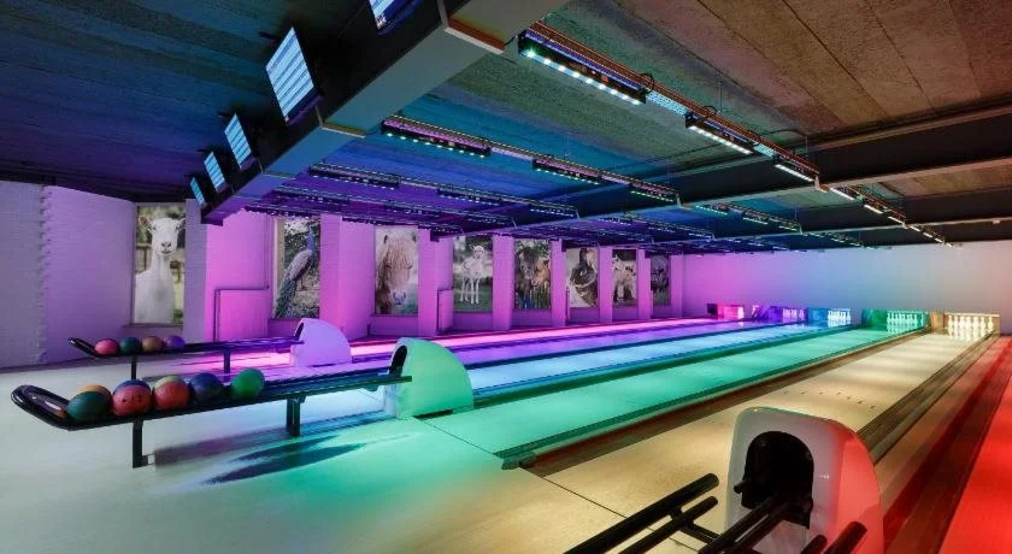 Vakantiepark Dierenbos