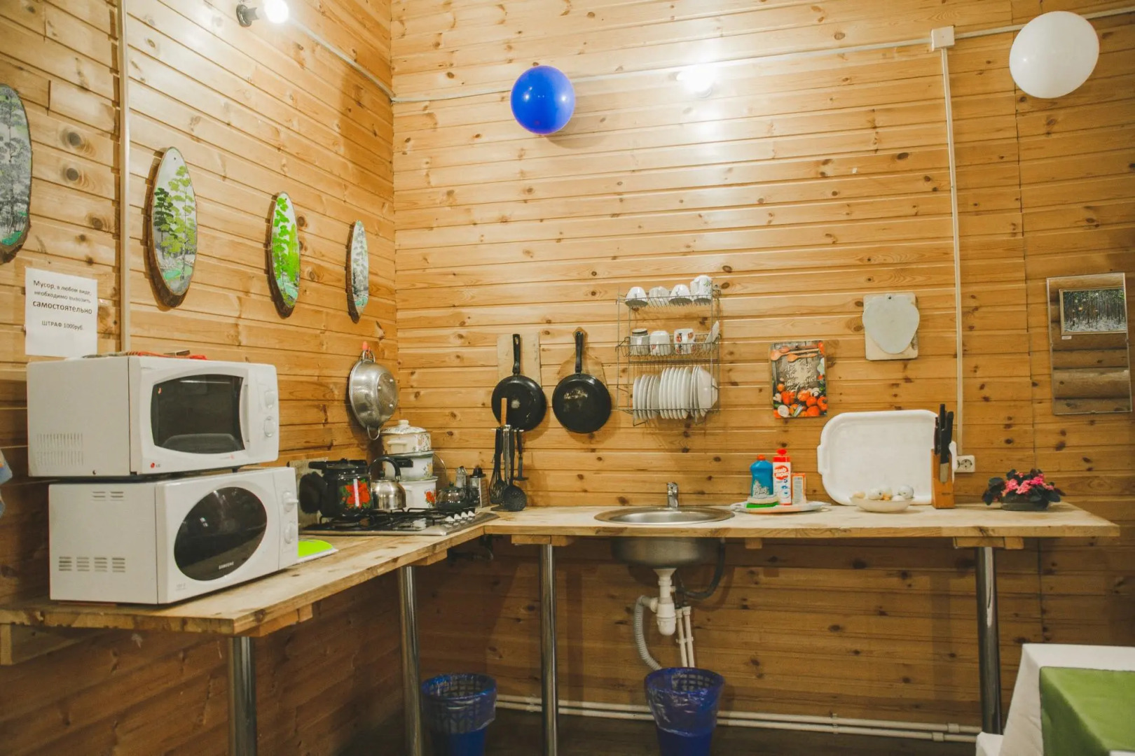 Gostevoi Dom Ryabinovyi