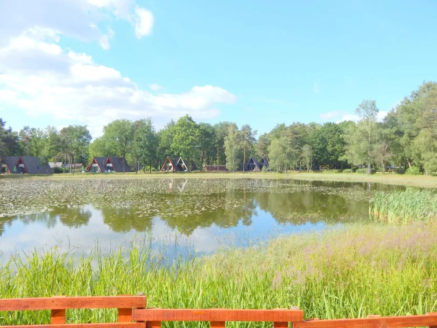 Remote Holiday Home in Limburg Amid a Forest