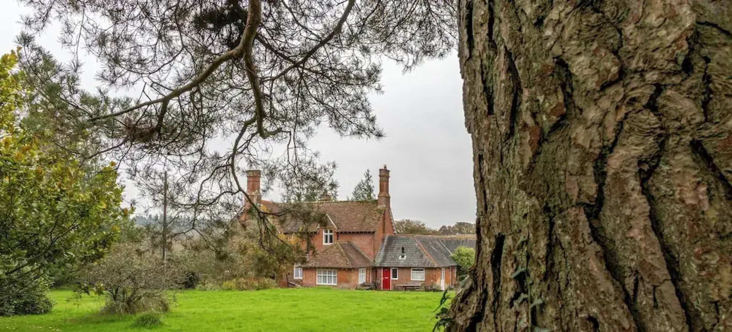 Tranquil Forest Retreat in Brockenhurst