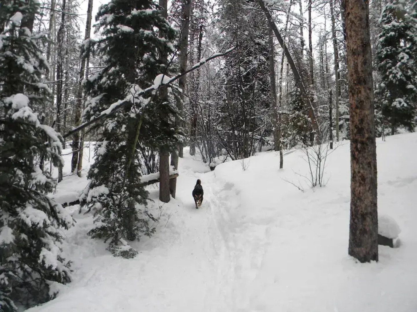 Cc301 Cross Creek 2br 2ba 2 Bedroom Condo by RedAwning