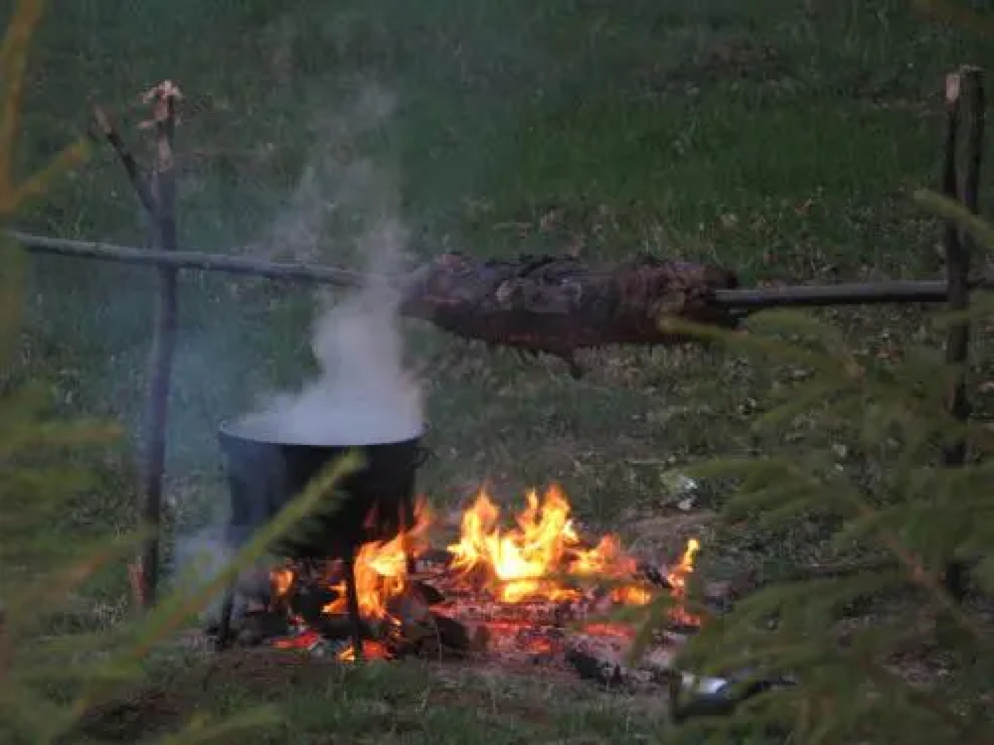 Cabana Haiducului Doftana