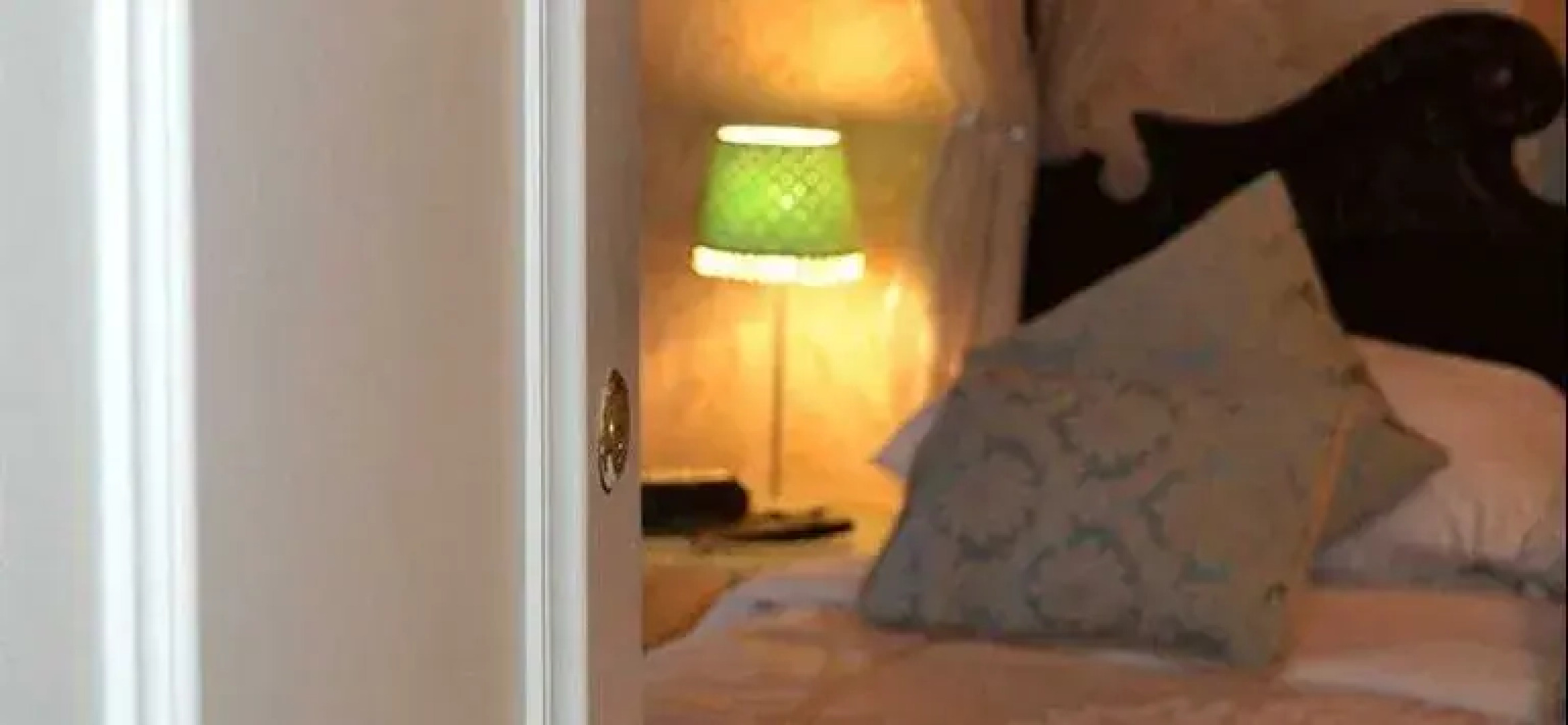 Bryn Artro Country House