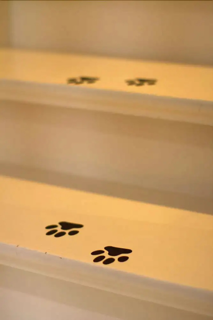 Appartement Mélusine avec Balcon