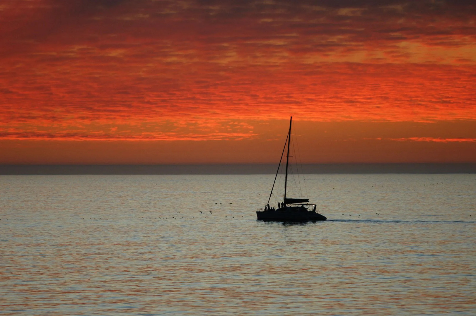 Dolphin Inn Guest House