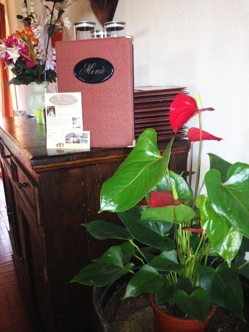 B&B Il Pozzo Di Radi