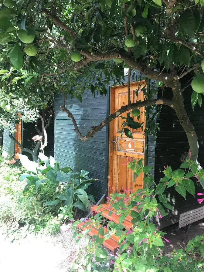 Olympos Yigit Pansiyon