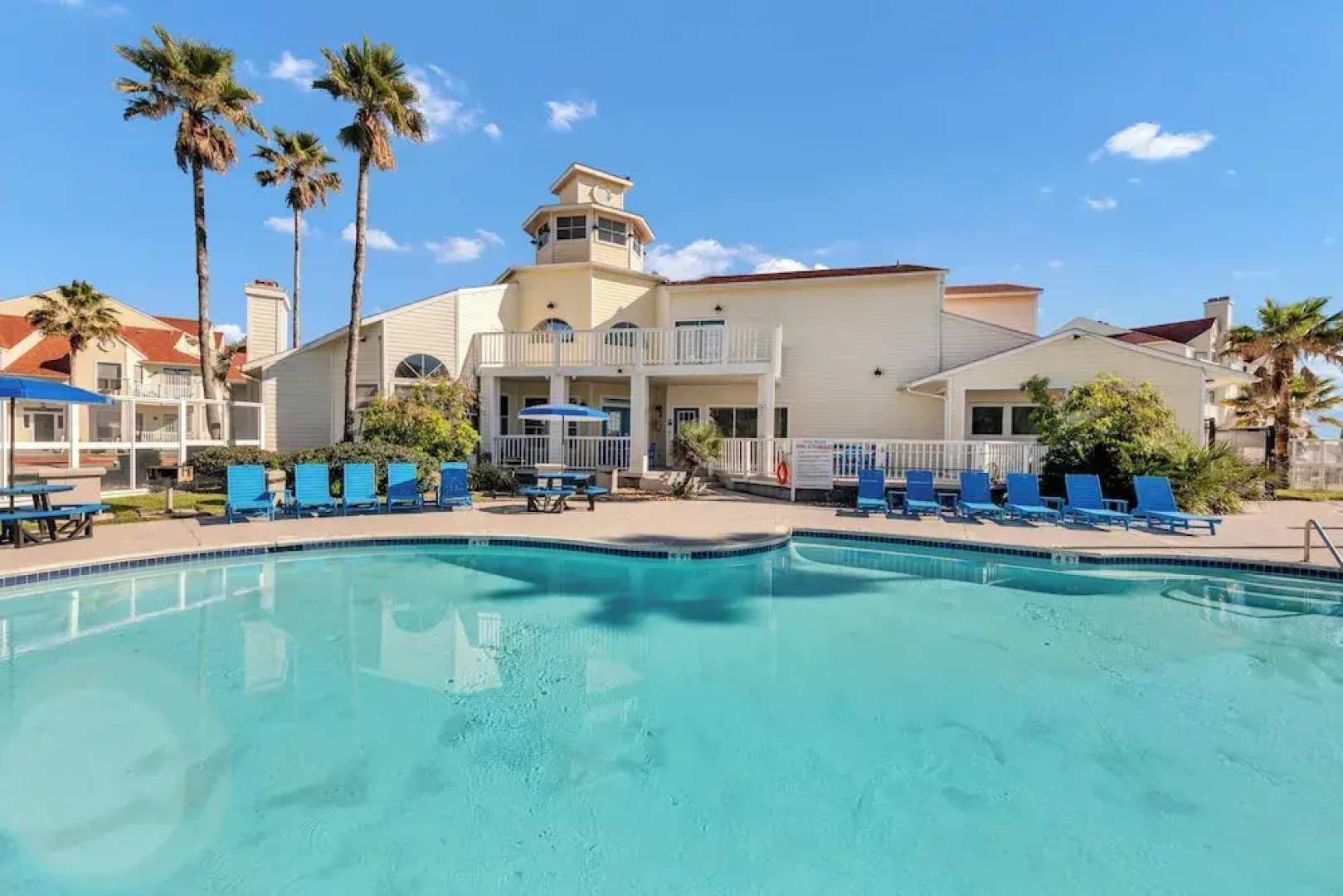 Npi146-the Lazy Turtle