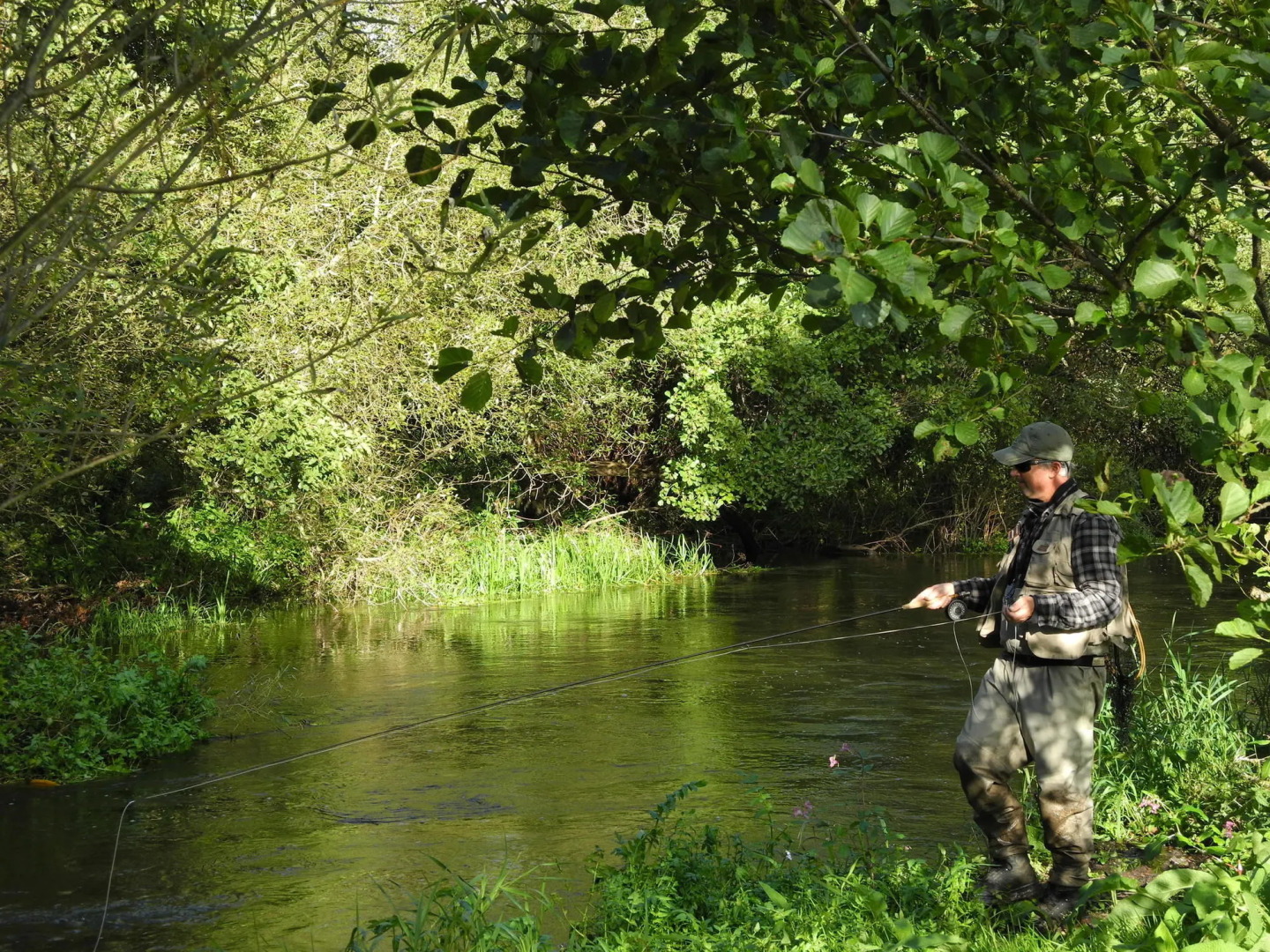 Brambles Bed and Breakfast