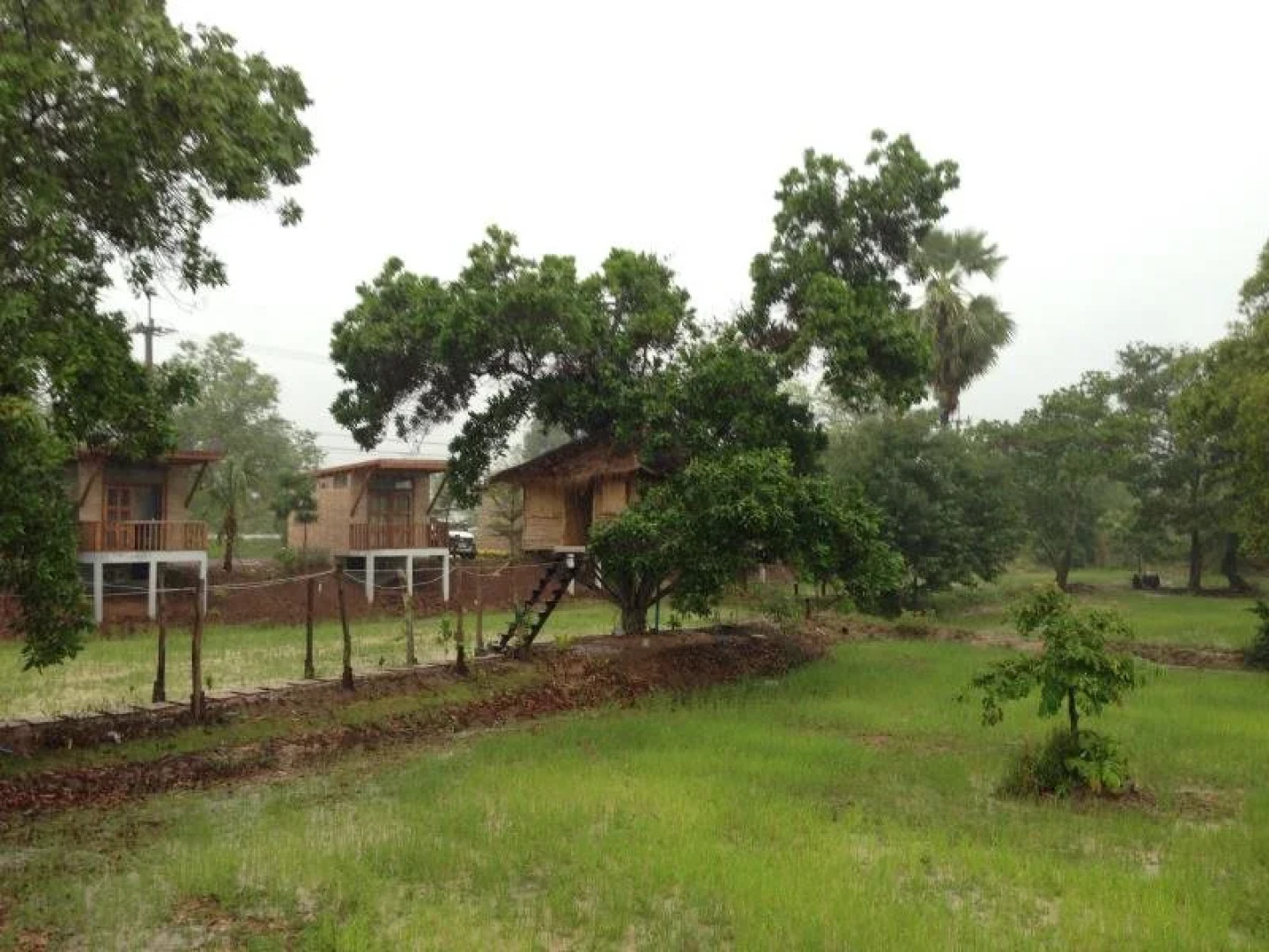 The Country Farm Resort & Homestay