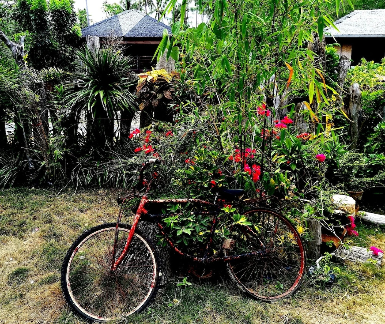 La Pernela Beachfront Resort