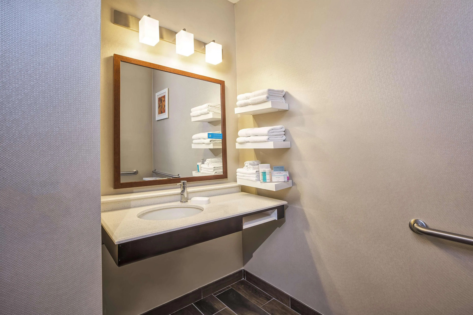 Hampton Inn Hotel Detroit/Belleville-Airport Area