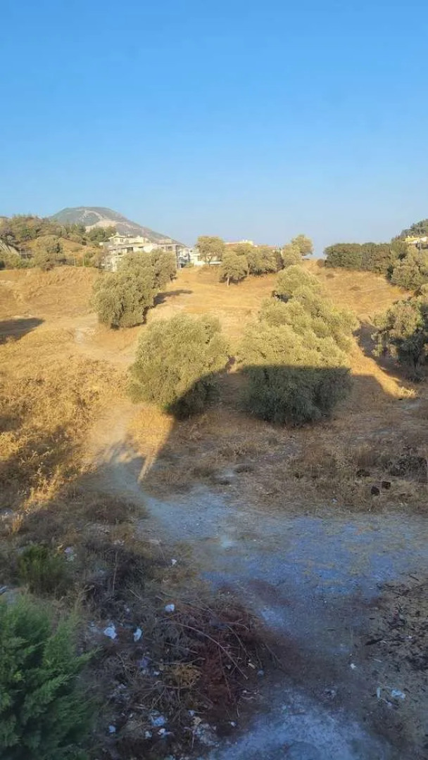 Çetinkaya Apart Söke