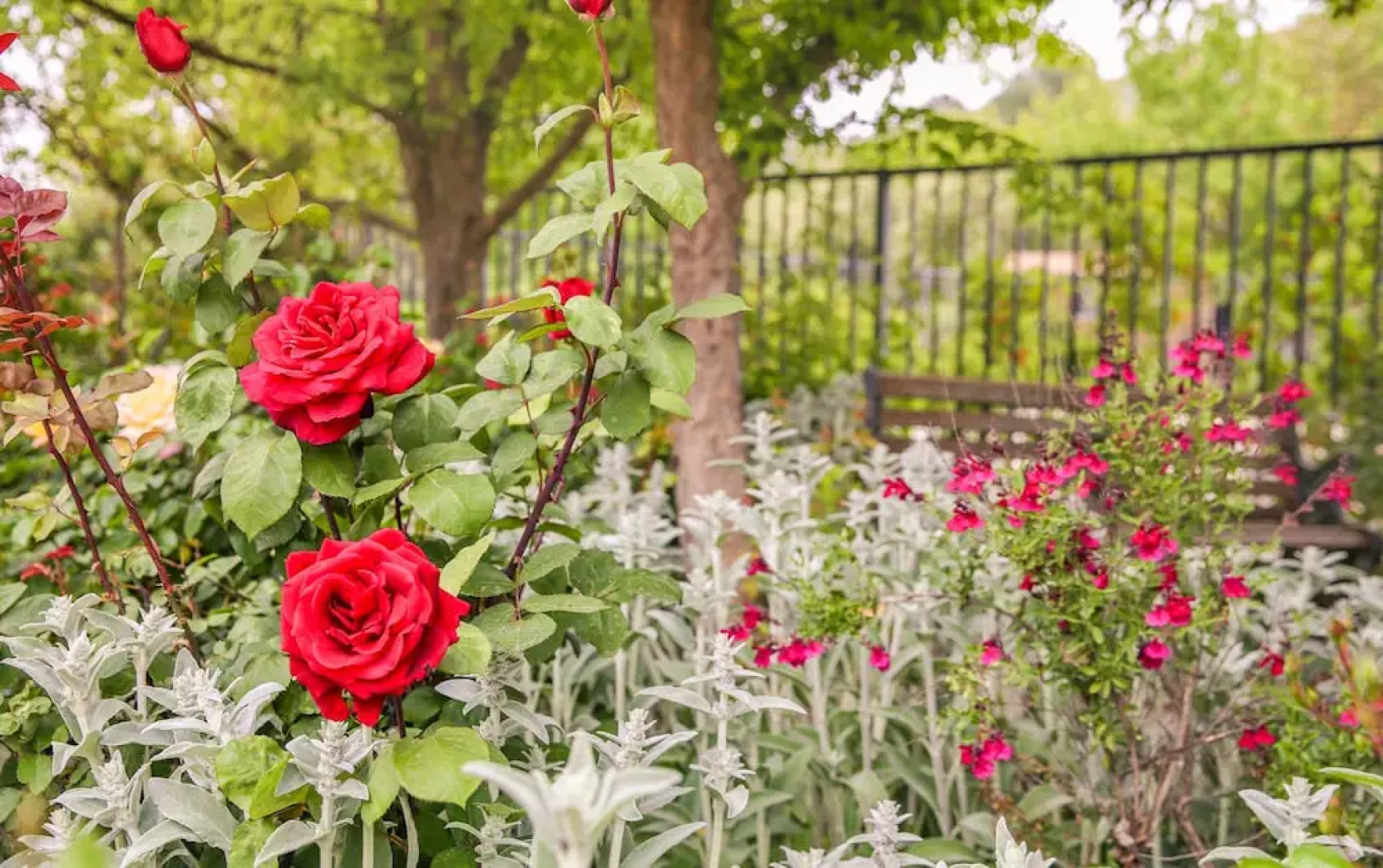 The Eden House Vineyard & Inn