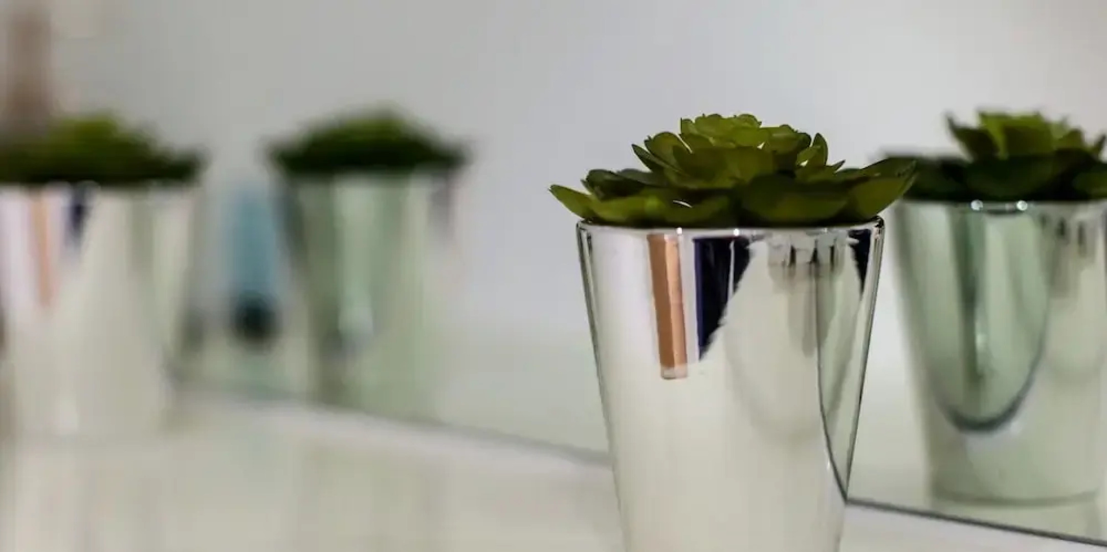 Warm and Welcoming Apartments