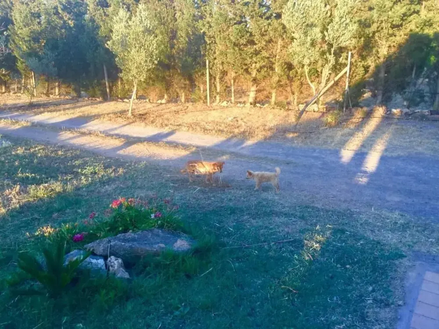 Agriturismo Sogno Latino