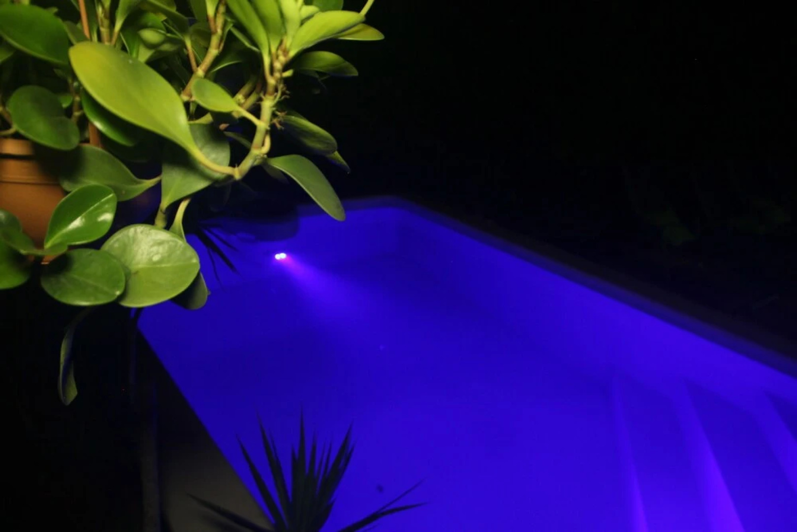 Villa Eden Rock, Adults Only